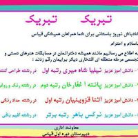 کسب رتبه های برتر در مسابقات هنرهای دستی و تجسمی